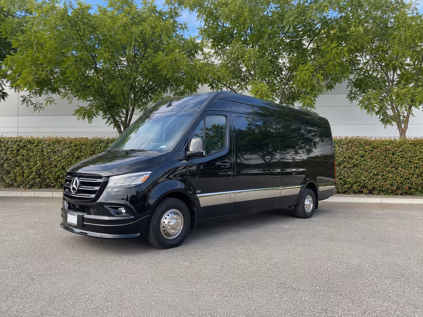 grand prairie wedding sprinter van rental